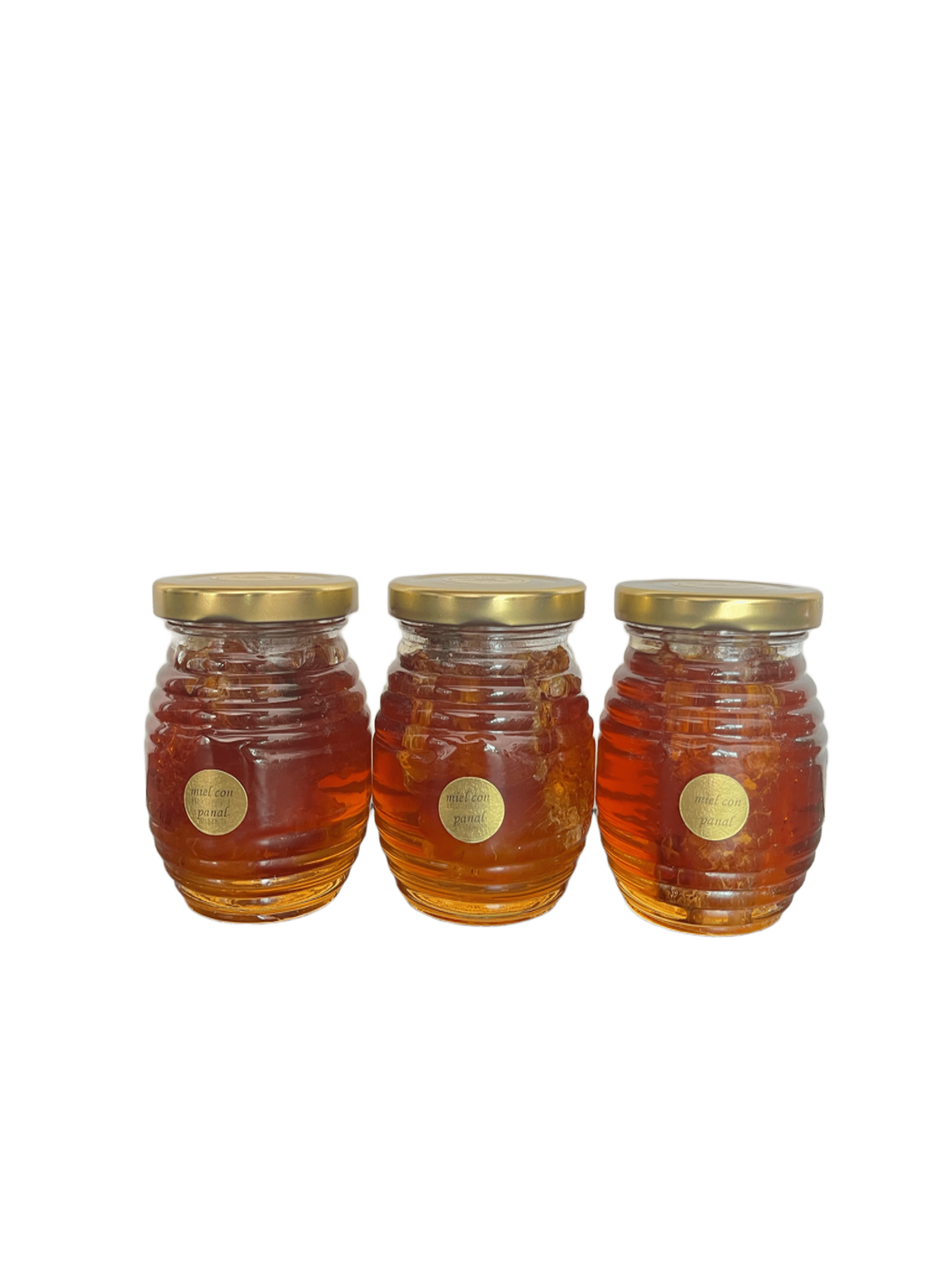 Miel con Panal 170g — Frasco de 170g de miel 100% natural con trozo de panal. Presentación especial de temporada. (Línea de Temporada, Mimiel Yucatán)