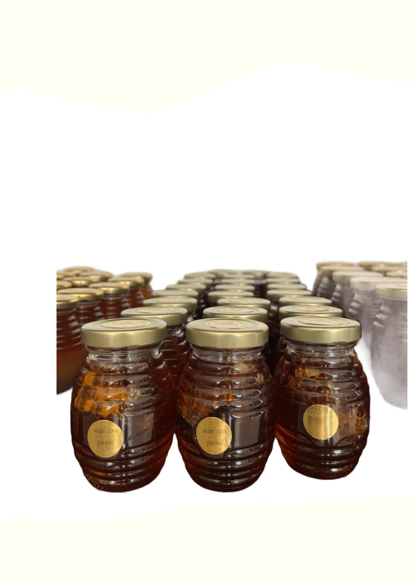 Miel con Panal 90g — Frasco de 90g de miel 100% natural con trozo de panal. Presentación especial de temporada. (Línea de Temporada, Mimiel Yucatán)